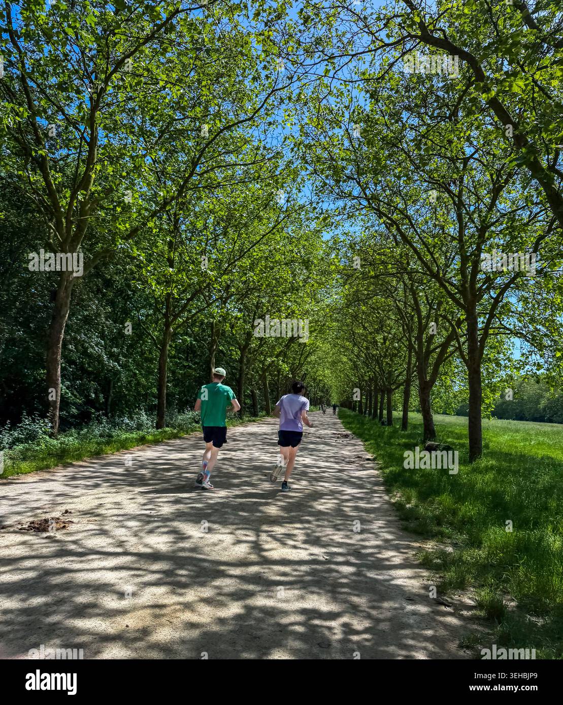 Paris, France, Parc urbain, scène, couple personnes jogging sur Pathway, dans bois de Vincennes, vue panoramique, chaleur estivale, arbres urbains, ville Heat wave europe Banque D'Images