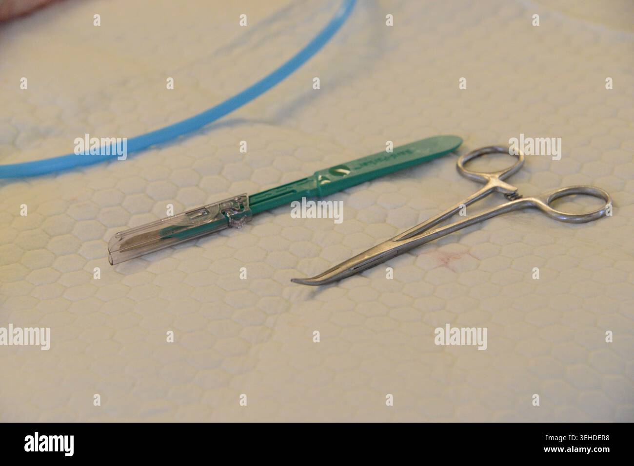 Un scalpel et une pince reposent sur un tampon de nettoyage pendant un cours avancé de formation en traumatologie dispensé par le Global Training Institute dans la zone de formation de Pōhakuloa Banque D'Images