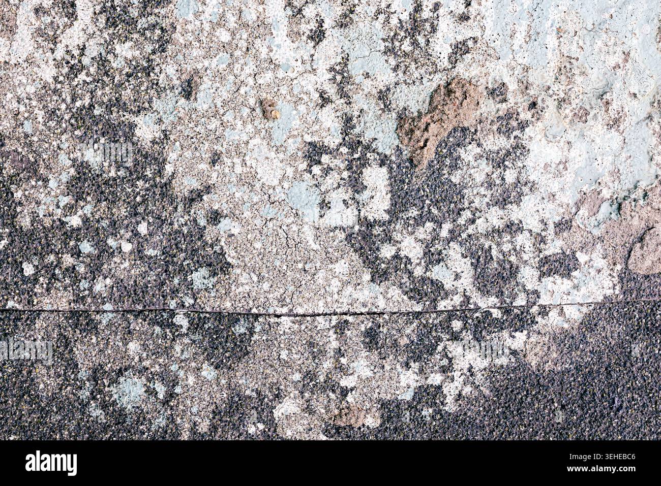Surface de béton altérée avec lichen et fissures Banque D'Images