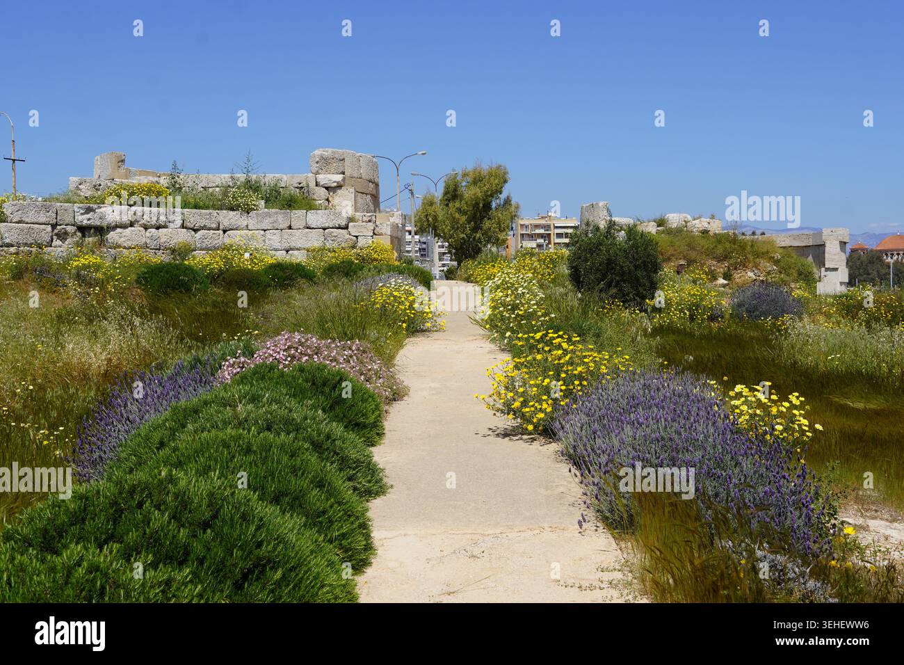 Plantes sauvages près des ruines de la porte Eetioneia ou Ietionia des anciennes fortifications du Pirée, de 411 av. J.-C. Banque D'Images