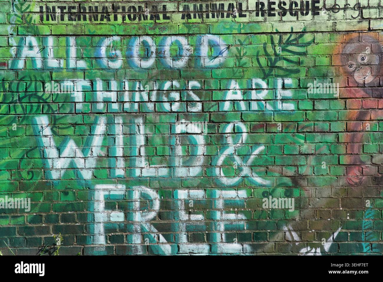 « All Good Things Are Wild & Free », peinture murale de sauvetage d'animaux à Brighton, en Angleterre. Banque D'Images