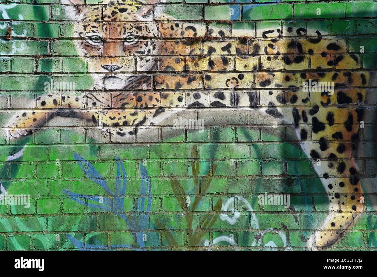 Peinture murale de rue léopard réaliste sur un mur de briques à Brighton, en Angleterre. Banque D'Images