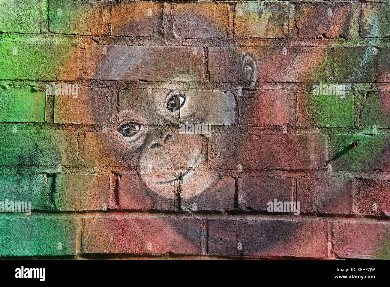 Adorable murale d'art de rue orang-outan bébé avec des yeux expressifs et des couleurs chaudes peintes sur un mur de briques altérées à Brighton, en Angleterre. Banque D'Images