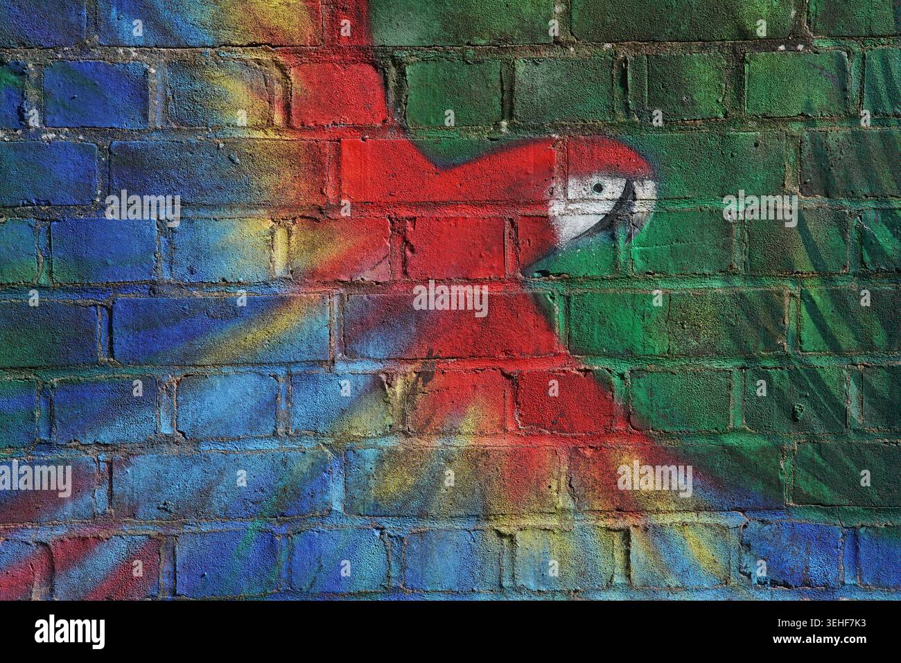 Murale rouge vif au perroquet rouge écarlate ornée de taches d'arc-en-ciel colorées peintes sur un mur de briques texturées à Brighton, en Angleterre. Banque D'Images