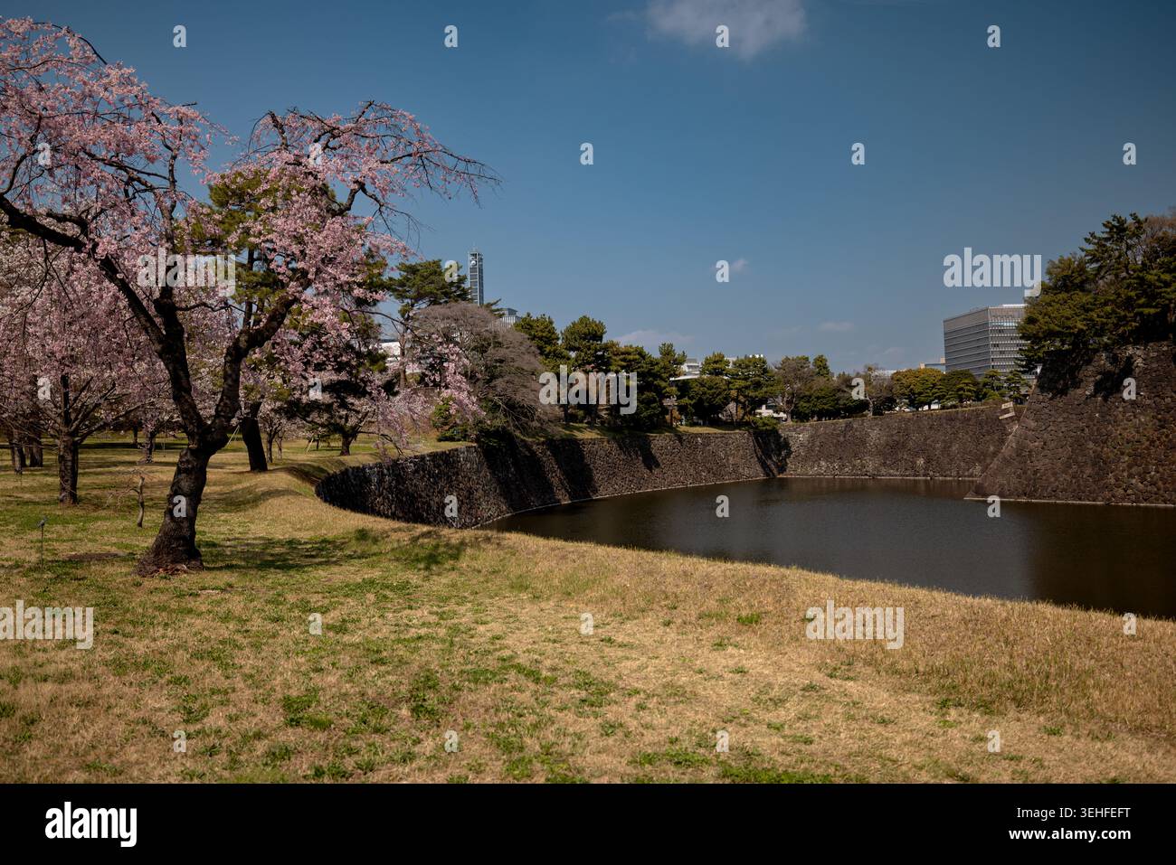 Douves entourant le parc du Palais impérial dans le centre de Tokyo, Japon. Banque D'Images