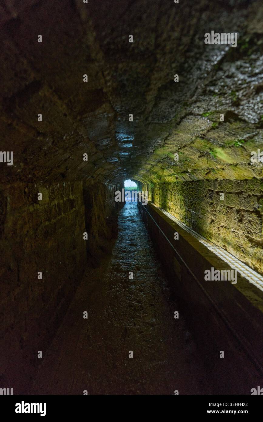 Passage souterrain avec murs de pierre mouillés, mousse, et une sortie lumineuse lointaine. Représenter l'espoir, l'avenir et le changement Banque D'Images