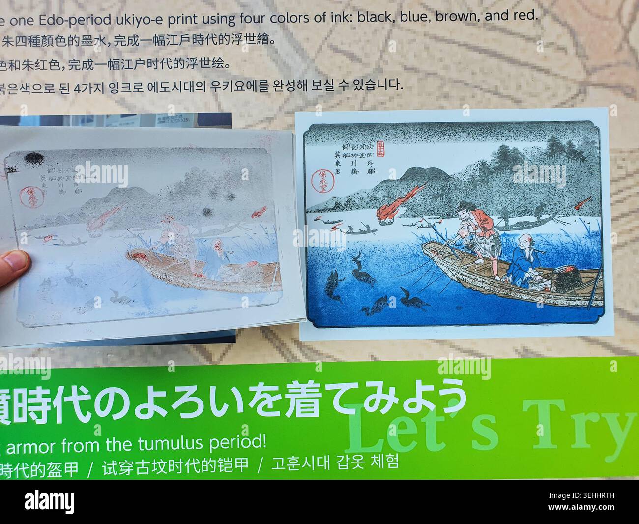 Présentation d'exposition muséale mettant en vedette des gravures sur bois japonais ukiyo-e de l'époque d'Edo illustrant des scènes traditionnelles de pêche au cormoran. La présentation montre deux Banque D'Images