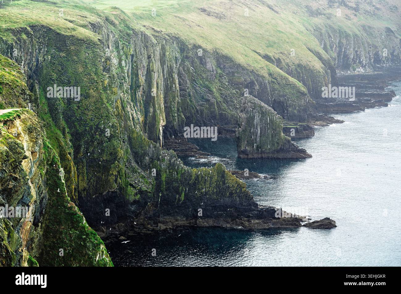 Vue panoramique sur le promontoire Old Head of Kinsale avec des prairies verdoyantes au sommet d'une falaise et des piles de mer déchiquetées dans l'océan le jour de pluie, Cork, Irlande. Banque D'Images