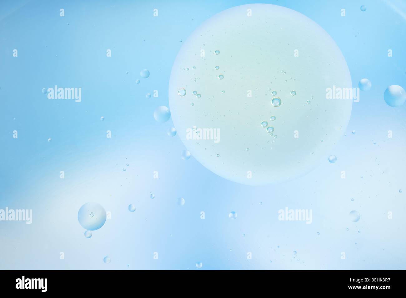 Composition macro minimale avec des bulles délicates dans un liquide bleu pâle et une douce lumière circulaire. Banque D'Images