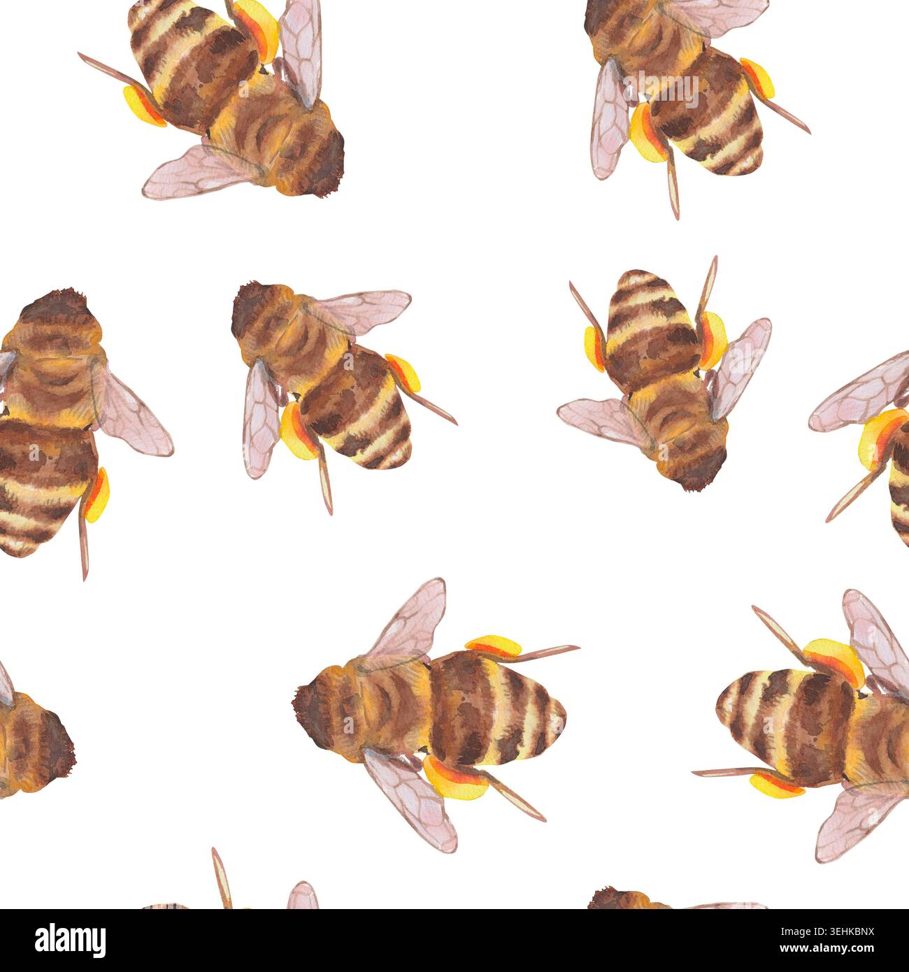 Motif aquarelle sans couture avec abeilles, ailes translucides et paniers de pollen jaune sur fond blanc. Motif minimal de répétition peint à la main pour Banque D'Images