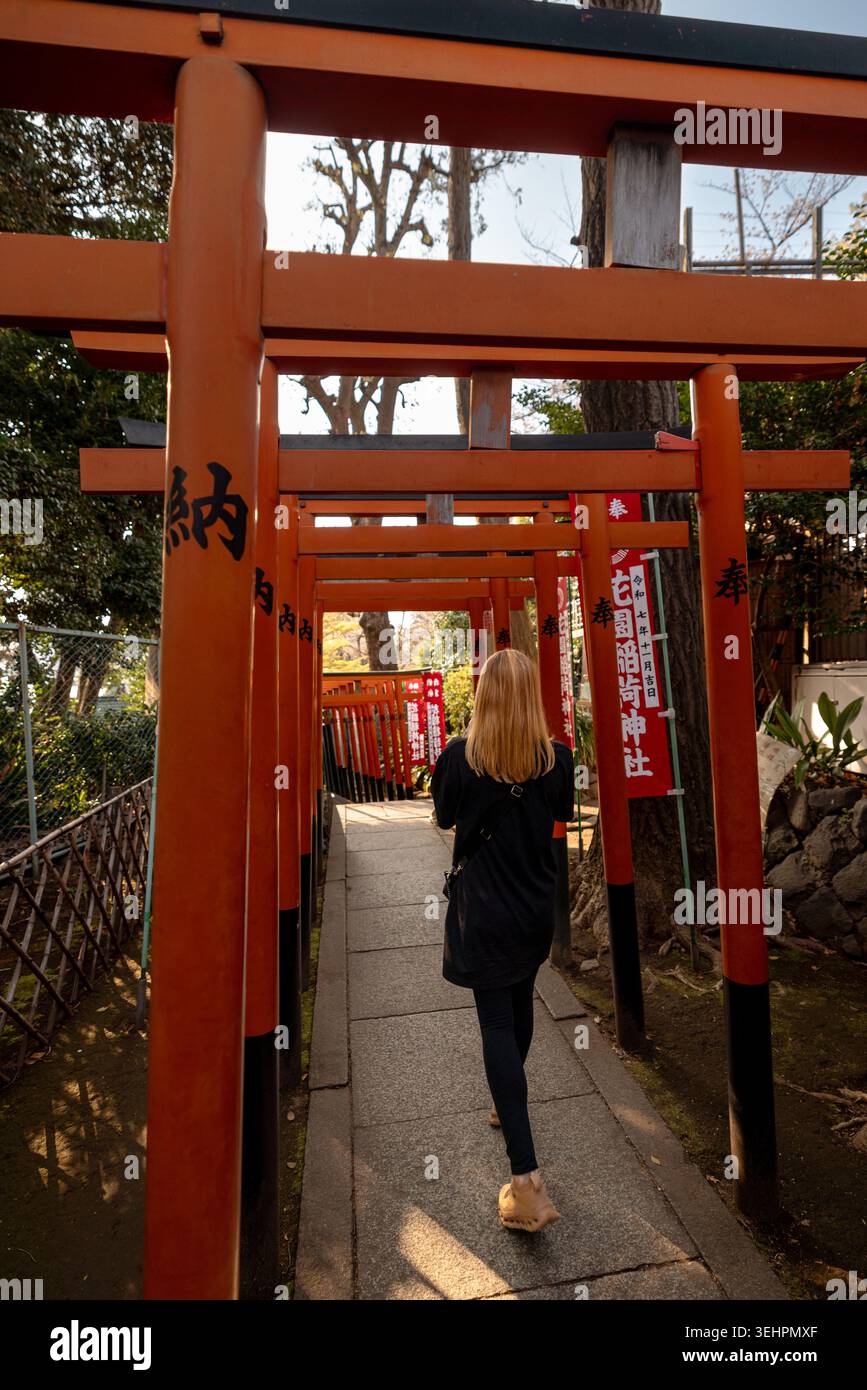 Portes Vermilion torii au sanctuaire Ueno Toshogu dans le parc Ueno, Tokyo, Japon. Banque D'Images