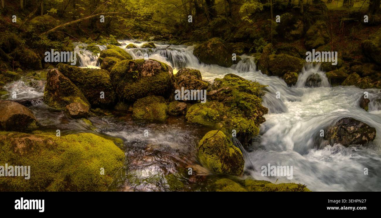 Ruisseau de montagne de la rivière Željeznica près de Trnovo et la source de la rivière Bosna, Bosnie-Herzégovine Banque D'Images