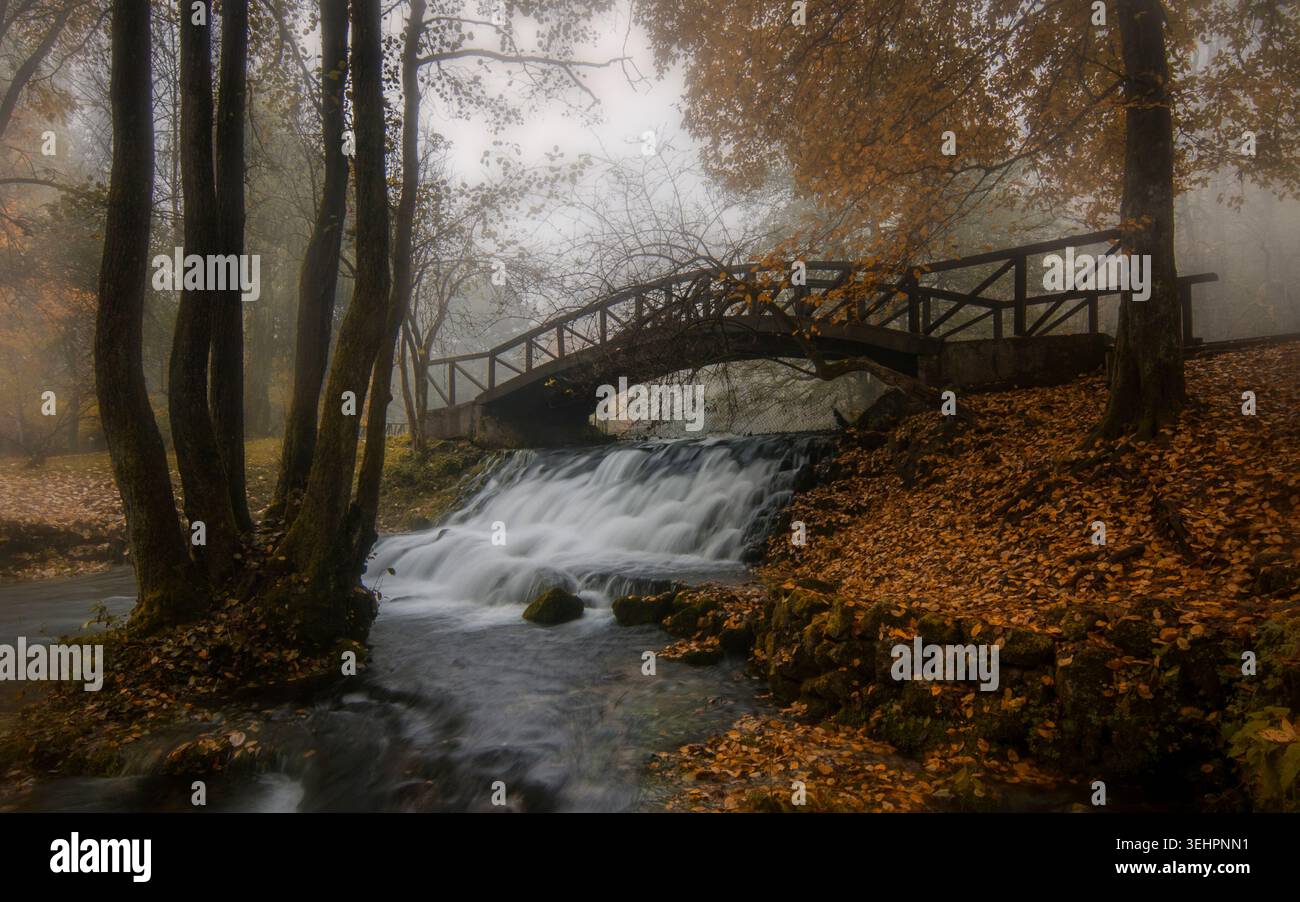 Pont en bois sur le ruisseau à Vrelo Bosne en automne, Bosnie-Herzégovine Banque D'Images