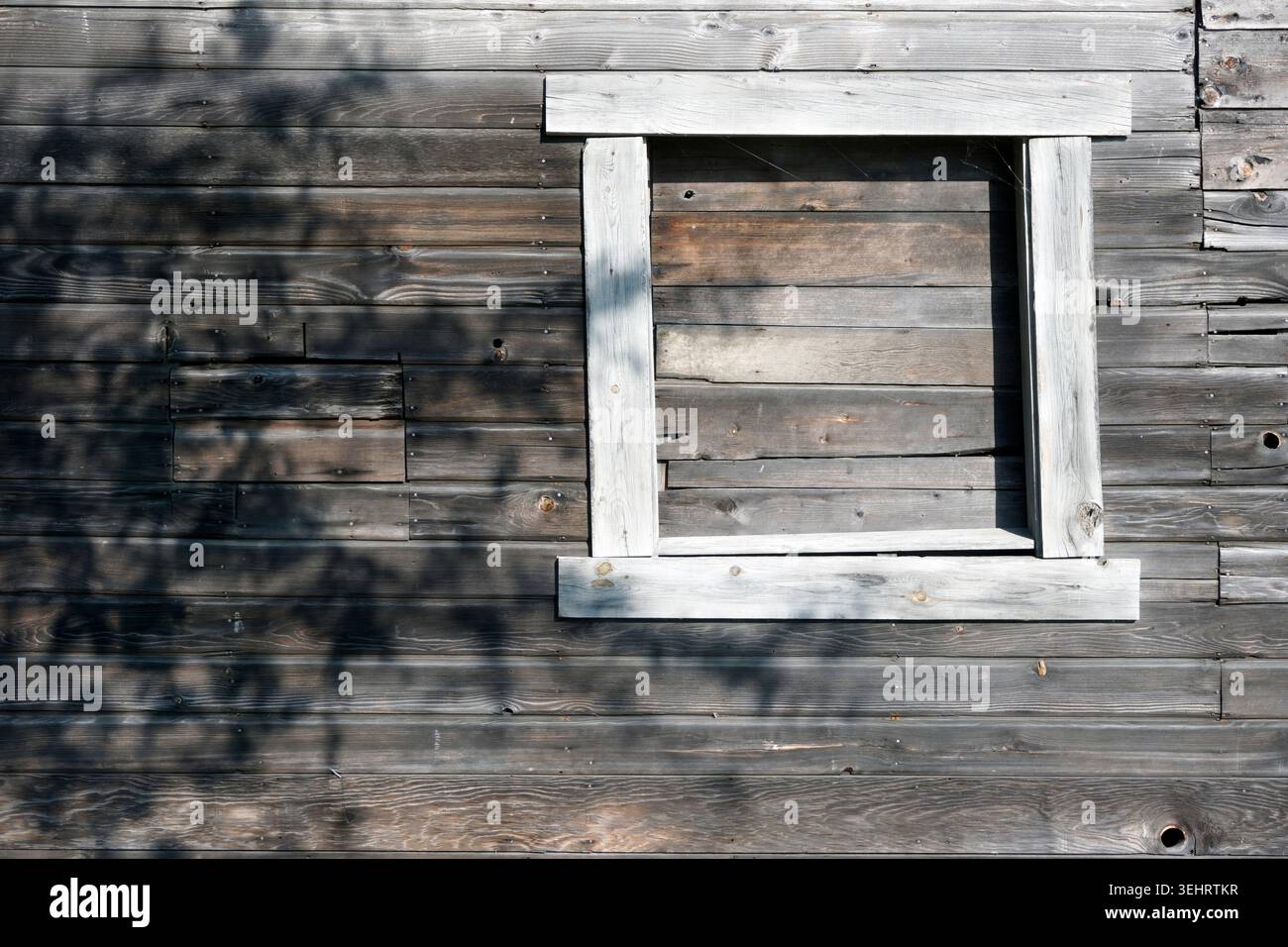 Fenêtre et ombre d'arbre sur le mur en bois du bâtiment dans le parc Britannia Heritage Shipyard, Steveston, Richmond, Colombie-Britannique, Canada Banque D'Images