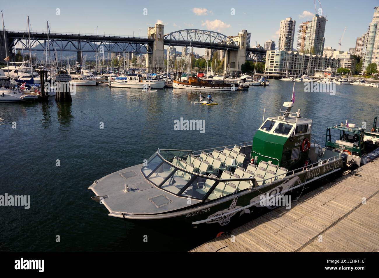 Baleines sauvages- bateau d'observation des baleines amarré à Granville Island sur False Creek, Vancouver, BC, Canada Banque D'Images