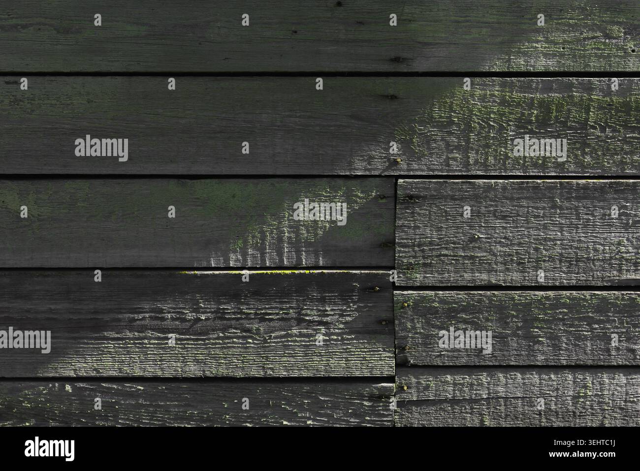 Vieux mur en bois grungy fait de planches horizontales en bois de pin peintes en vert éclairé par la lumière du soleil avec de fortes ombres patten. Vue de face, abstrait b Banque D'Images