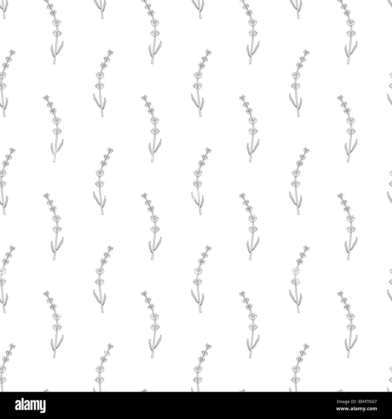 Motif de brins de lavande sans couture avec des tiges minces, de petites fleurs et des feuilles allongées dans l'art minimaliste de la ligne noire, disposés en diagonale sur blanc Illustration de Vecteur