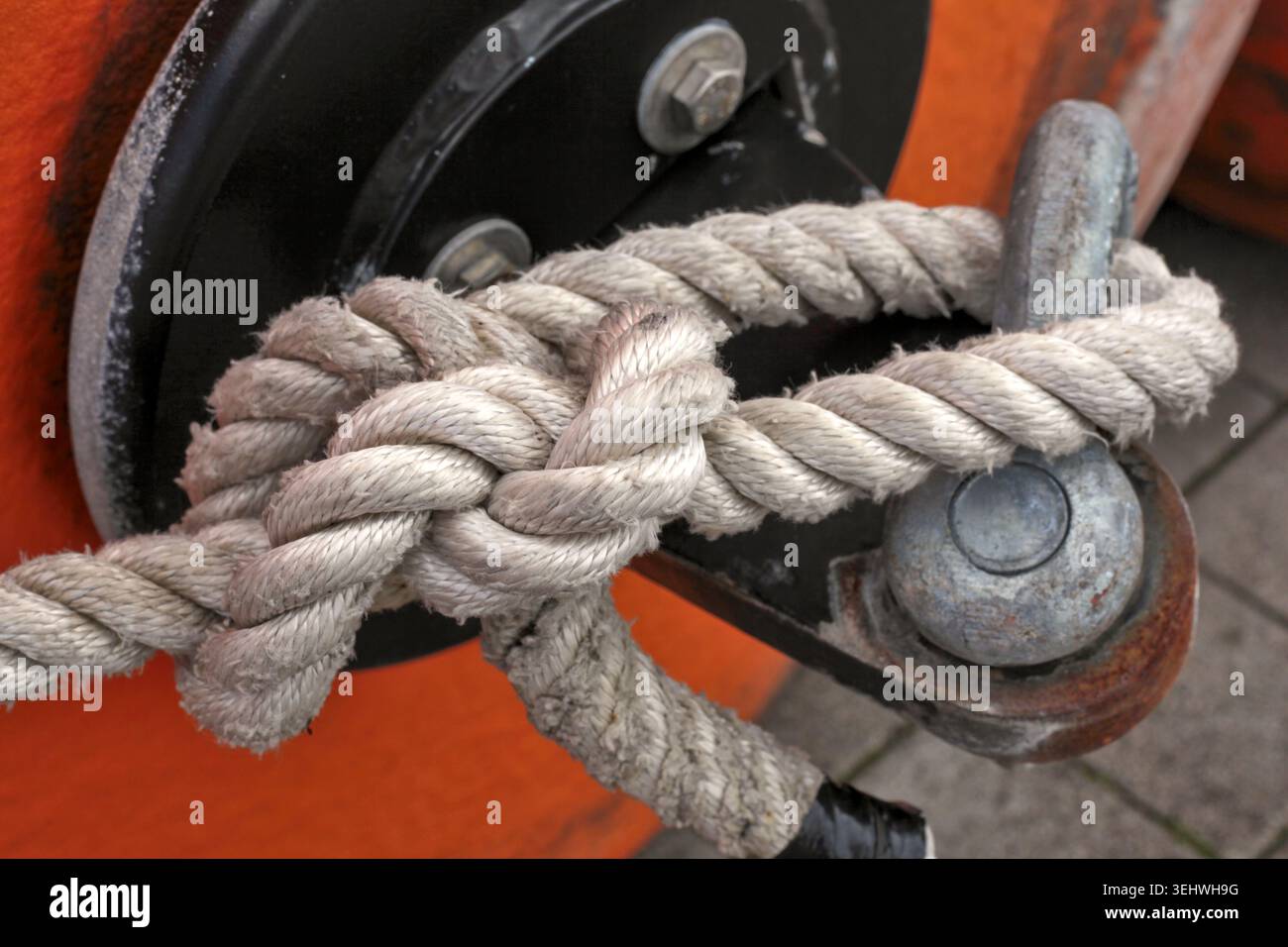 Gros plan d'une corde marine blanche propre nouée solidement autour d'une manille métallique sur le pont d'un navire. Banque D'Images