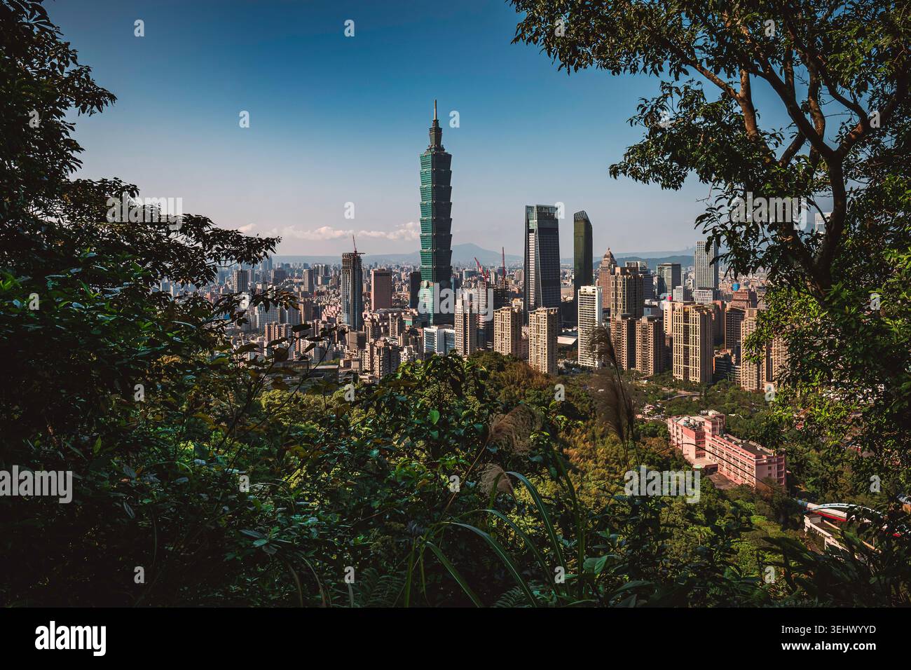 Horizon de Taipei avec Taipei 101 vu à travers une végétation luxuriante depuis Elephant Mountain, Xiangshan Trail, Taipei, Taiwan Banque D'Images