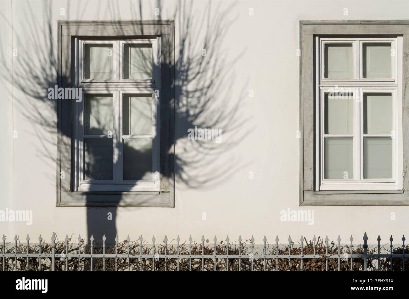 L'ombre d'un saule sur une façade de maison baroque avec une fenêtre, Bad Karlshafen, quartier de Kassel, Hesse, Allemagne, Europe Banque D'Images