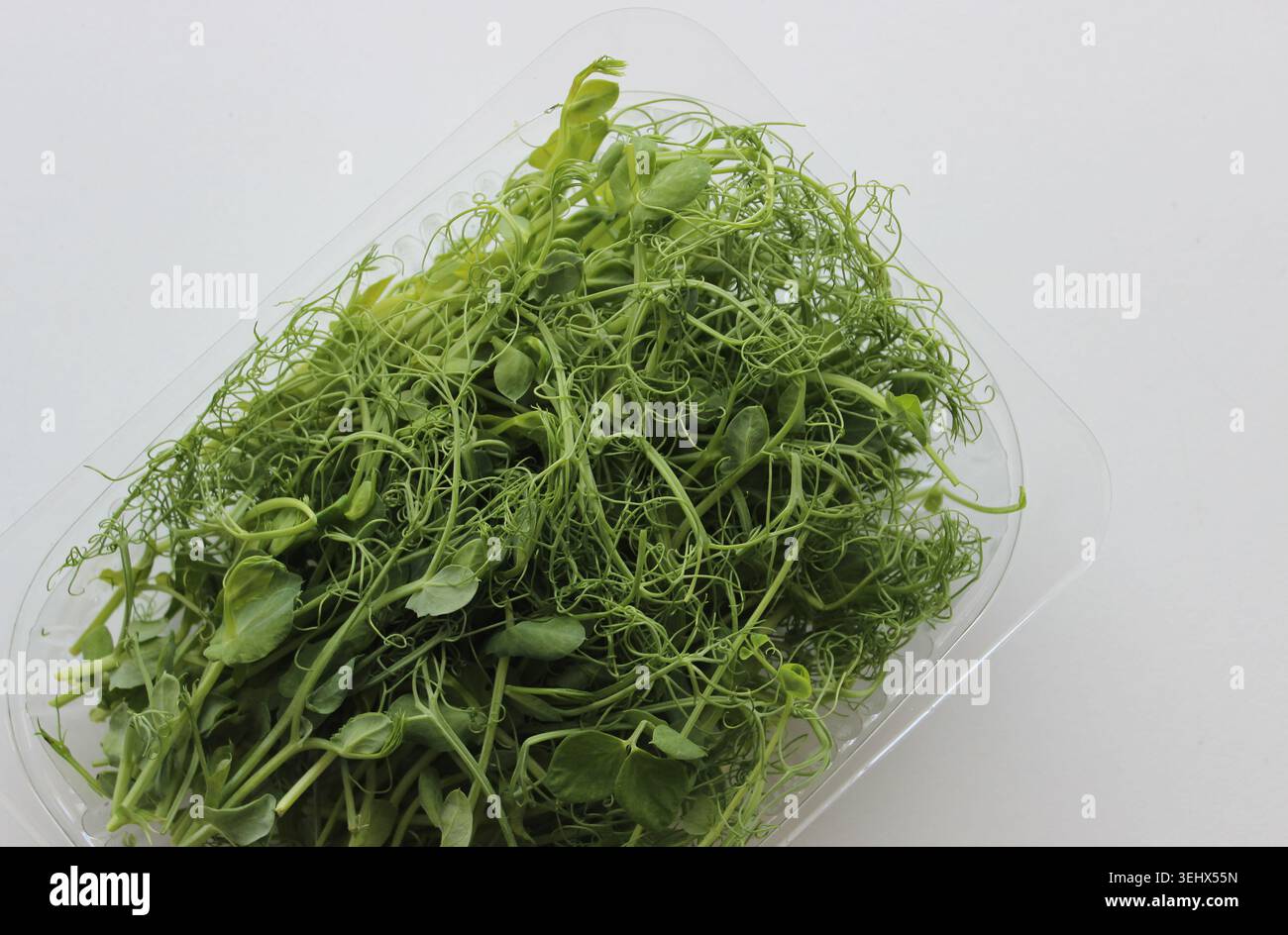 Vue rapprochée d'un bouquet de microgreens de pois dans un récipient en plastique transparent sur une surface blanche. Photo d'illustration pour régime alimentaire sain Banque D'Images