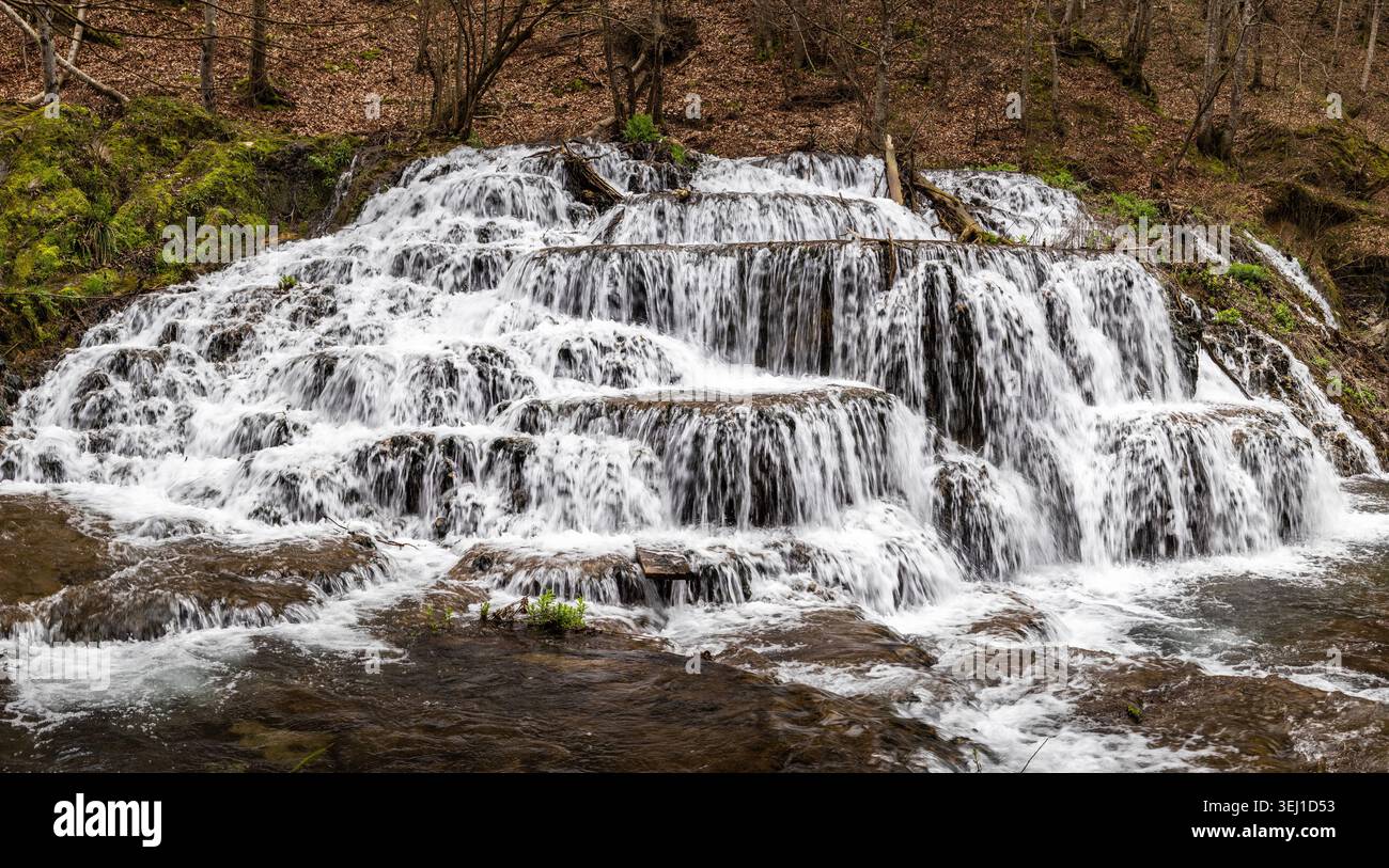 Cascade de forêt en terrasses Dokuzak dans la montagne Strandzha près de Burgas, Bulgarie Banque D'Images