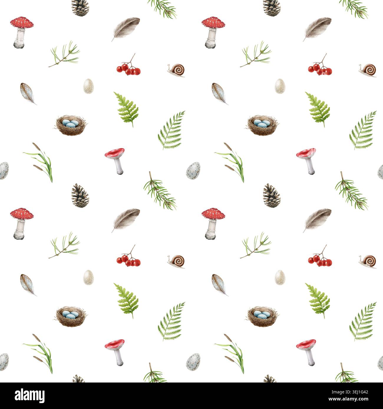 Motif sans couture de forêt avec des champignons, des fougères, des baies, des plumes et des feuilles d'automne sur fond blanc. Elément naturel dessiné à la main pour tissu Banque D'Images