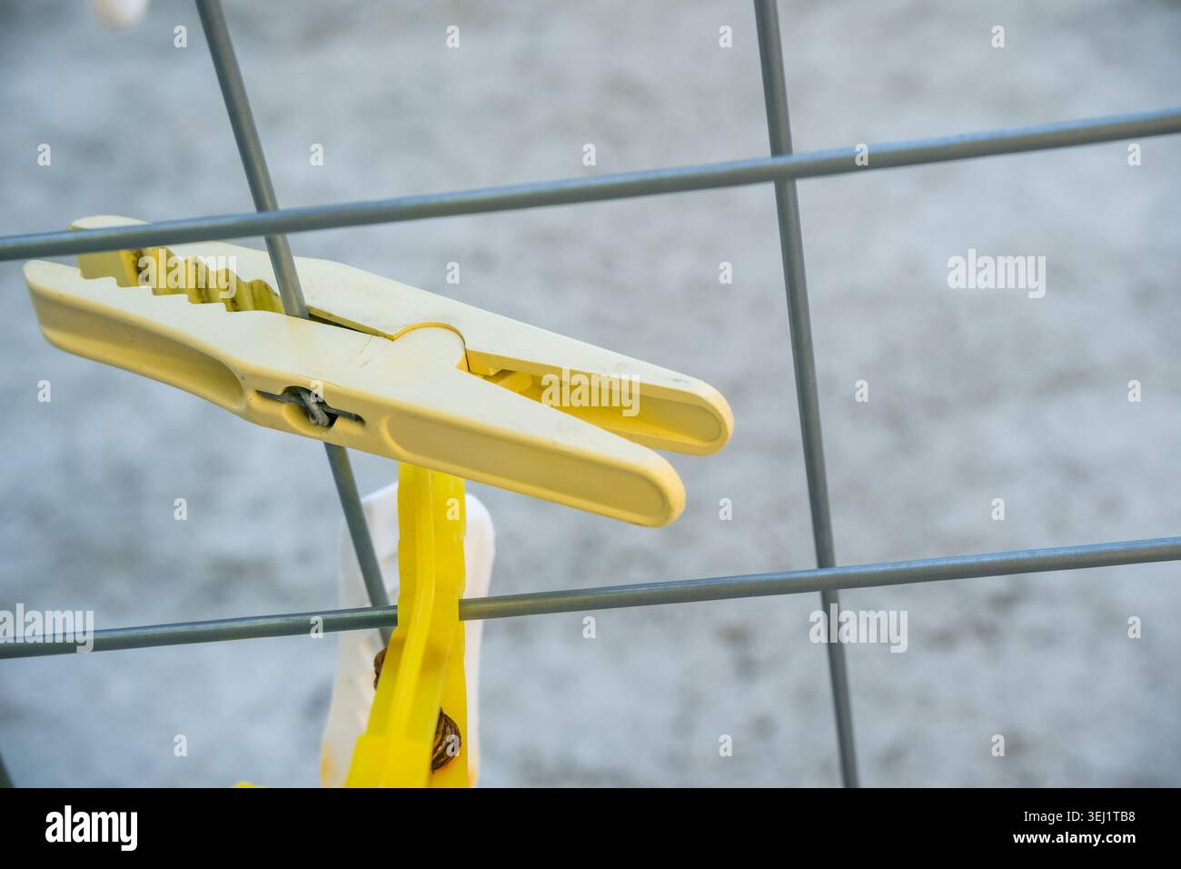Gros plan d'une pince à linge jaune attachée à une clôture métallique. L'arrière-plan est flou, soulignant les détails et la texture de la pince à linge. Banque D'Images