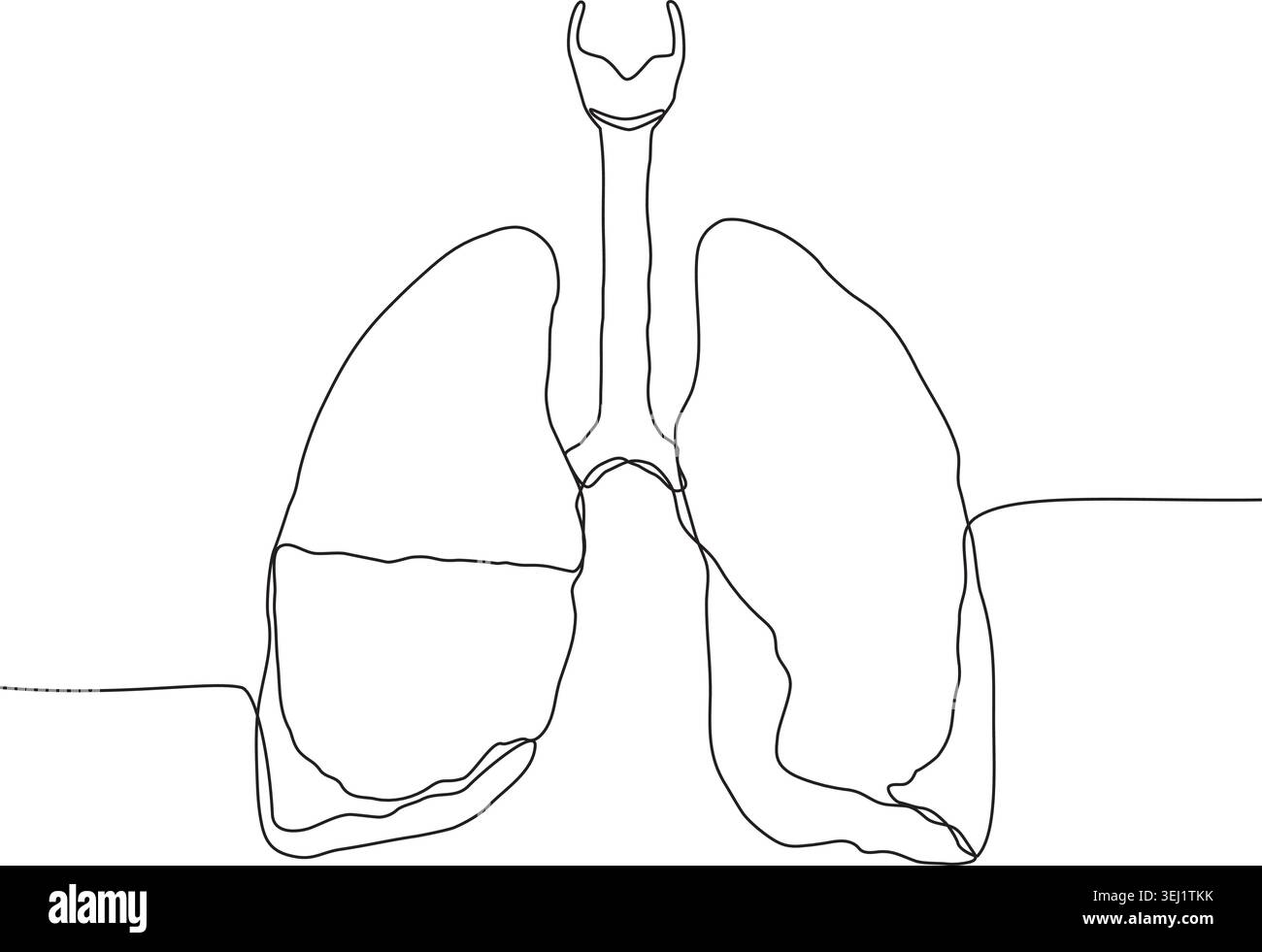 Un dessin simple et continu représentant les poumons humains, mettant en valeur un style artistique minimaliste sur un fond Uni. Illustration de Vecteur