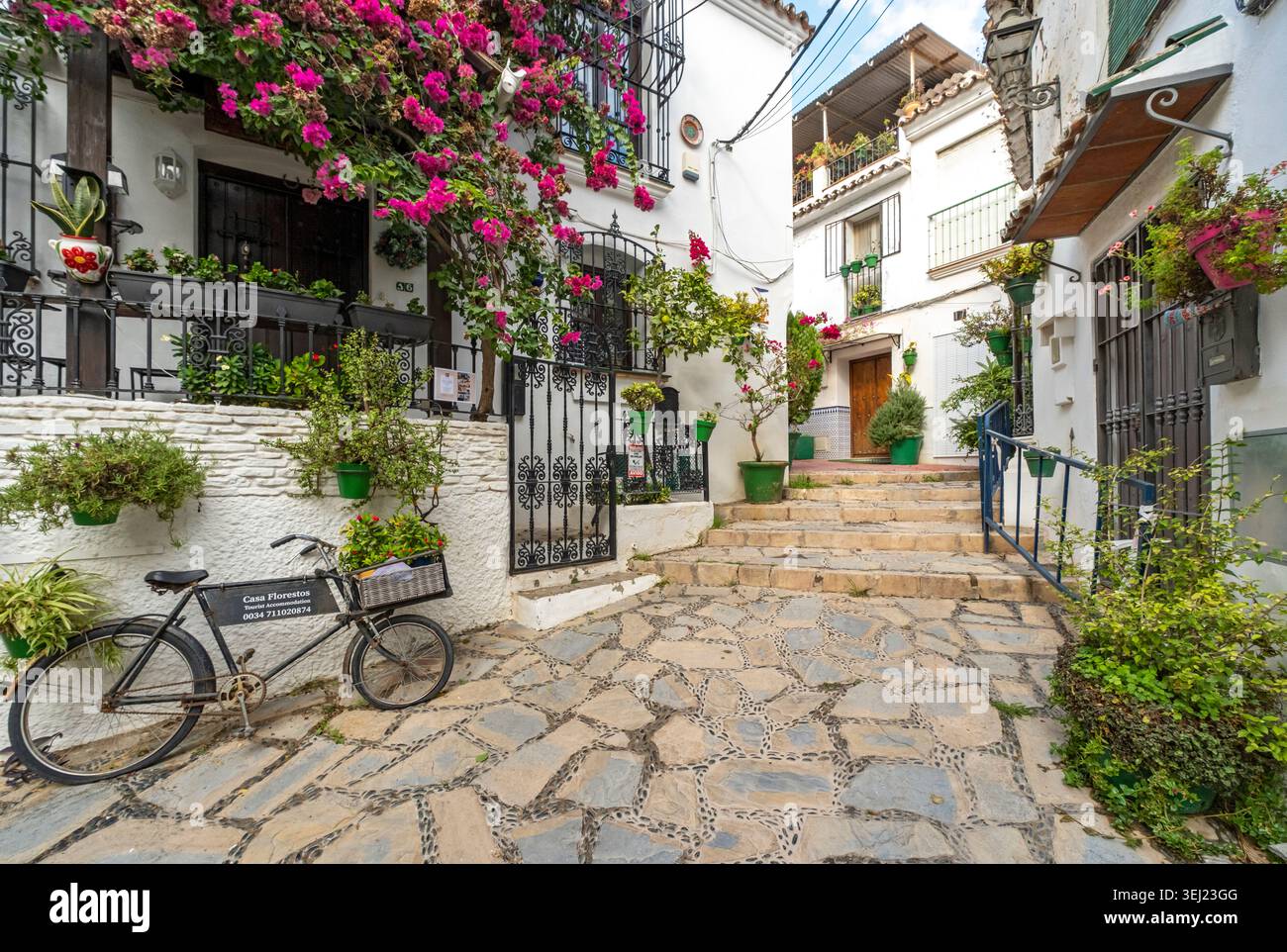 Une ruelle étroite pavée de pierre menant devant des façades blanchies à la chaux décorées de bougainvilliers, de pots de fleurs verts et d'un vélo vintage, Estepona, Espagne Banque D'Images