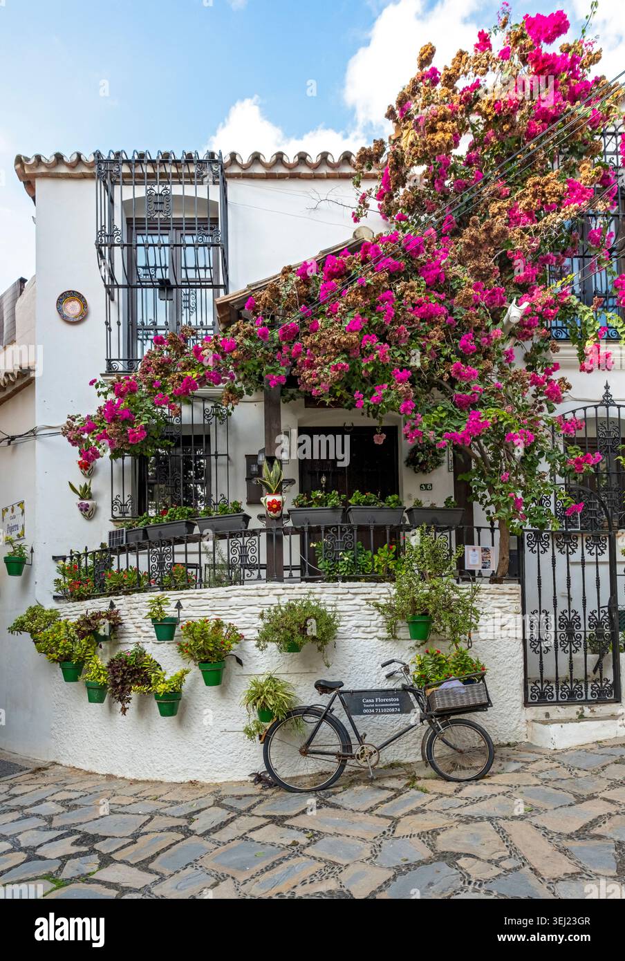 Une façade de bâtiment blanchie à la chaux avec des bougainvilliers, des pots de fleurs et un vélo vintage sur la rue pavée, Estepona, Andalousie, Espagne Banque D'Images