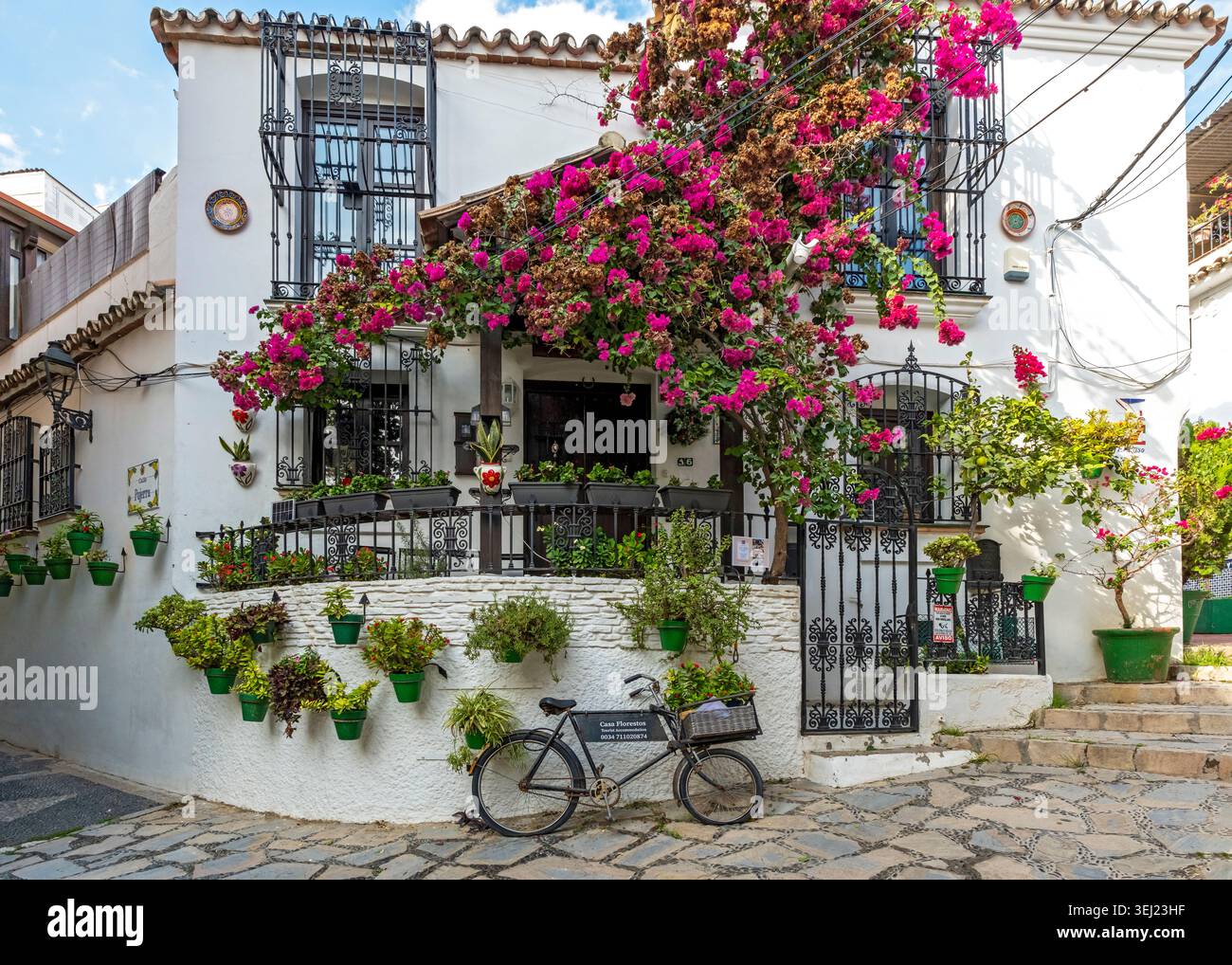 Une façade de bâtiment blanchie à la chaux avec des bougainvilliers, des pots de fleurs et un vélo vintage sur la rue pavée, Estepona, Andalousie, Espagne Banque D'Images