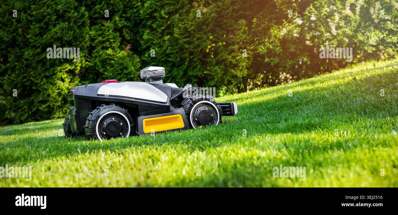 Tondeuse à gazon robotique travaillant au jardin coupant de l'herbe verte luxuriante. Entretien automatisé des pelouses Banque D'Images