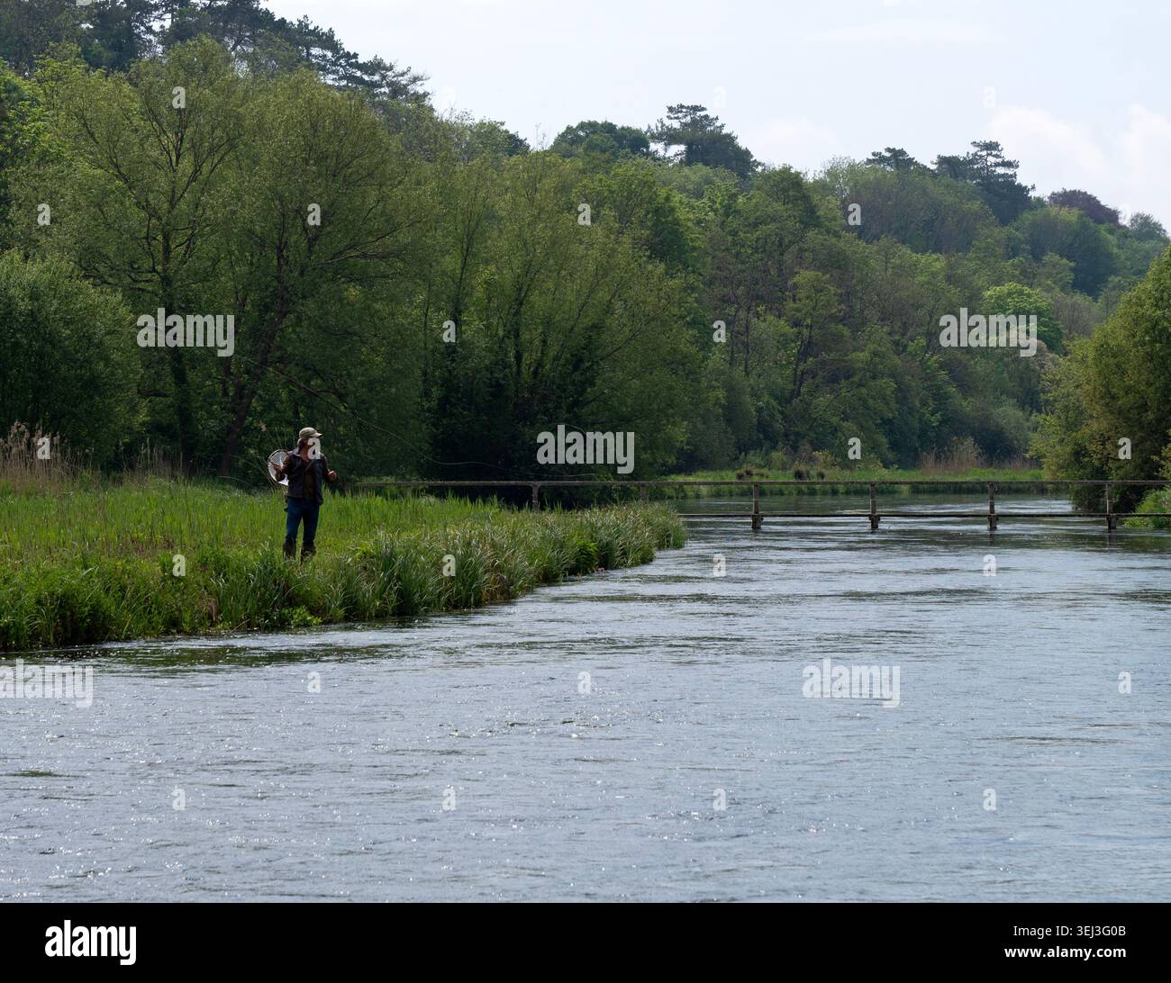 Pêche à la mouche pour la truite sur la rivière test à Fullerton près de Stockbridge dans le Hampshire, Angleterre. Banque D'Images