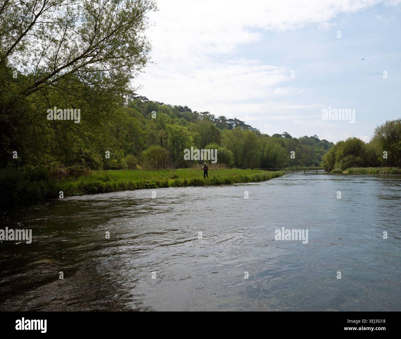 Pêche à la mouche pour la truite sur la rivière test à Fullerton près de Stockbridge dans le Hampshire, Angleterre. Banque D'Images