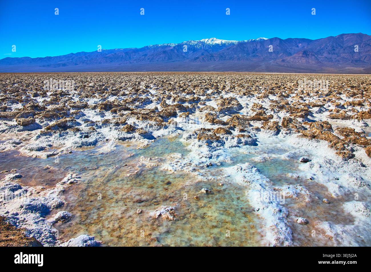 Devil's Golfcourse Salt formations avec piscines d'eau et montagnes enneigées lointaines Banque D'Images