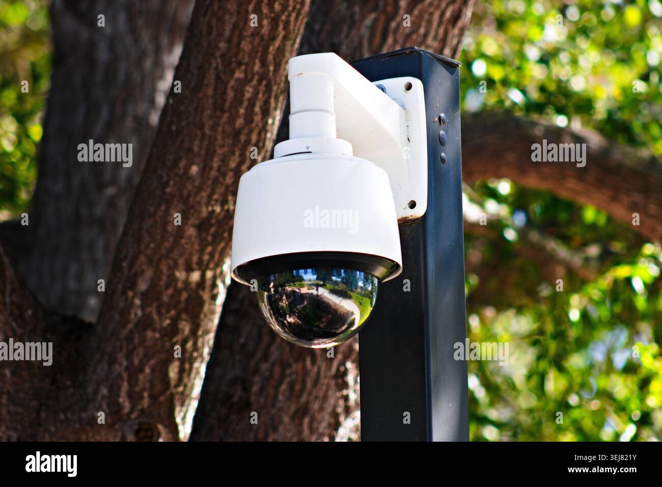 Caméra de sécurité extérieure dans le jardin Banque D'Images