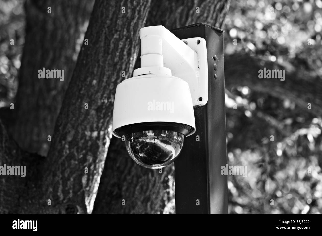 Caméra de sécurité extérieure dans le jardin Banque D'Images