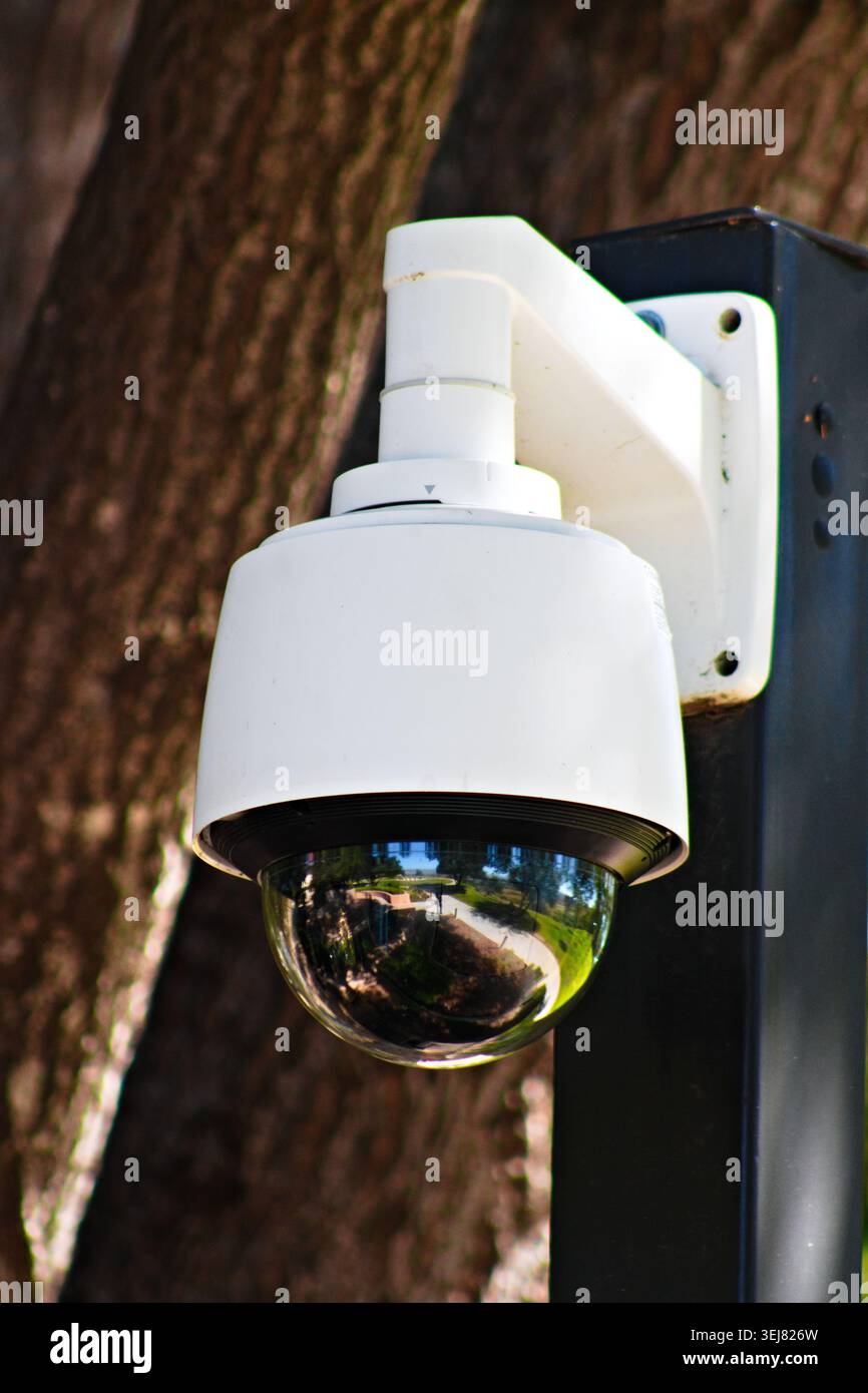 Caméra de sécurité extérieure dans le jardin Banque D'Images