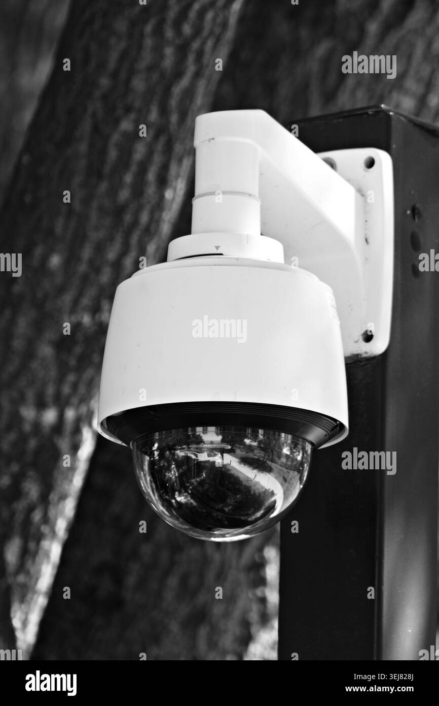 Caméra de sécurité extérieure dans le jardin Banque D'Images