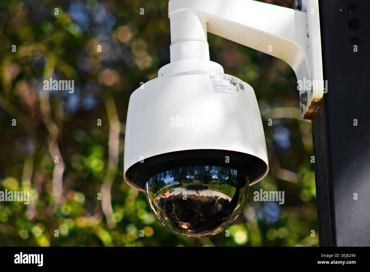 Caméra de sécurité extérieure dans le jardin Banque D'Images
