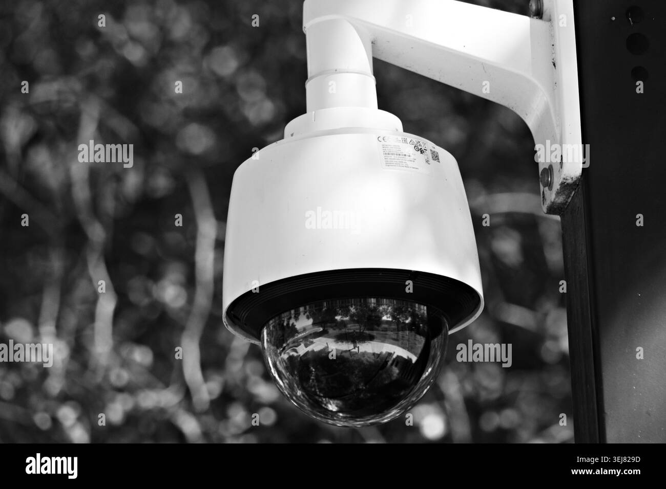 Caméra de sécurité extérieure dans le jardin Banque D'Images