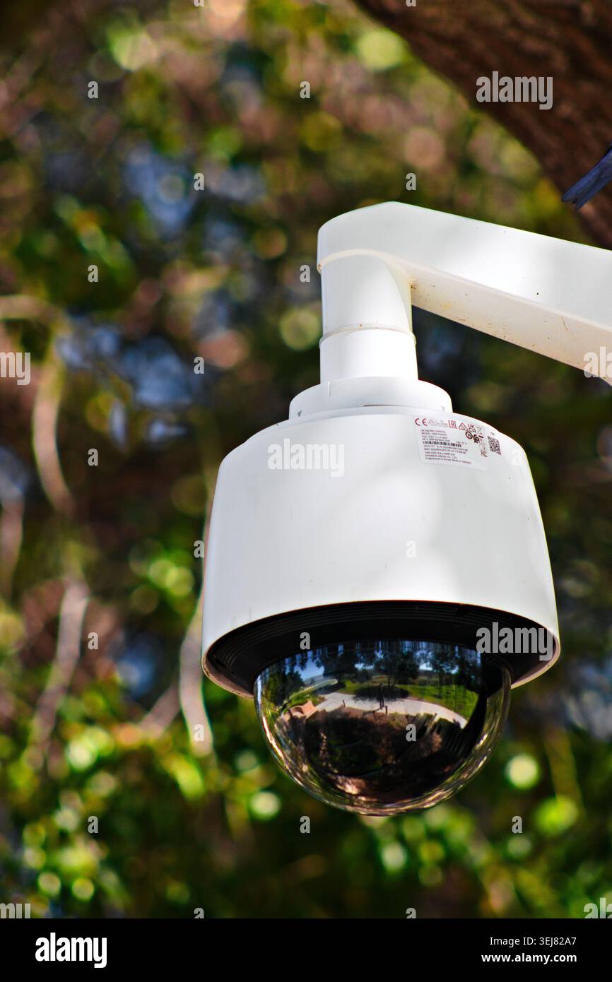 Caméra de sécurité extérieure dans le jardin Banque D'Images