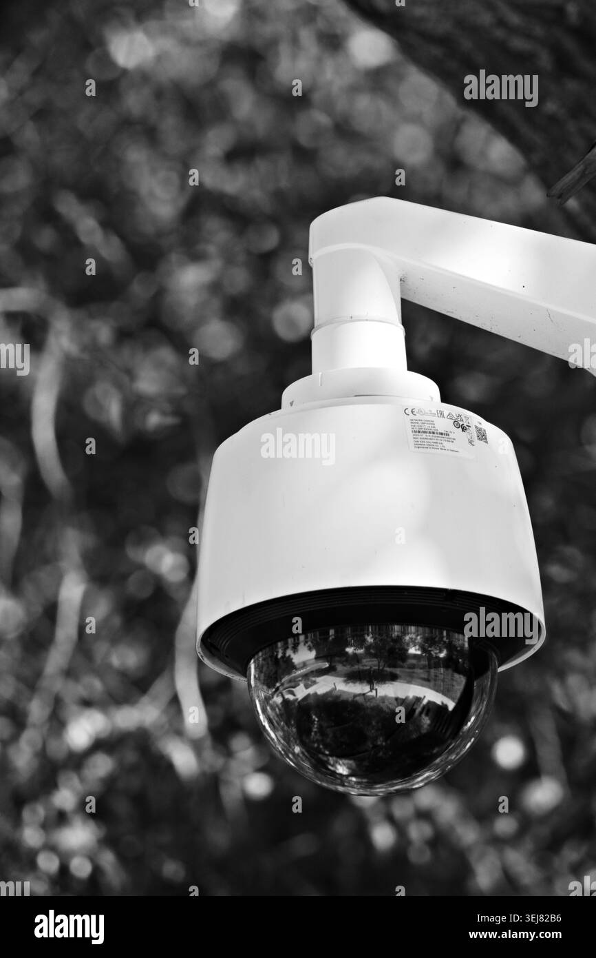 Caméra de sécurité extérieure dans le jardin Banque D'Images