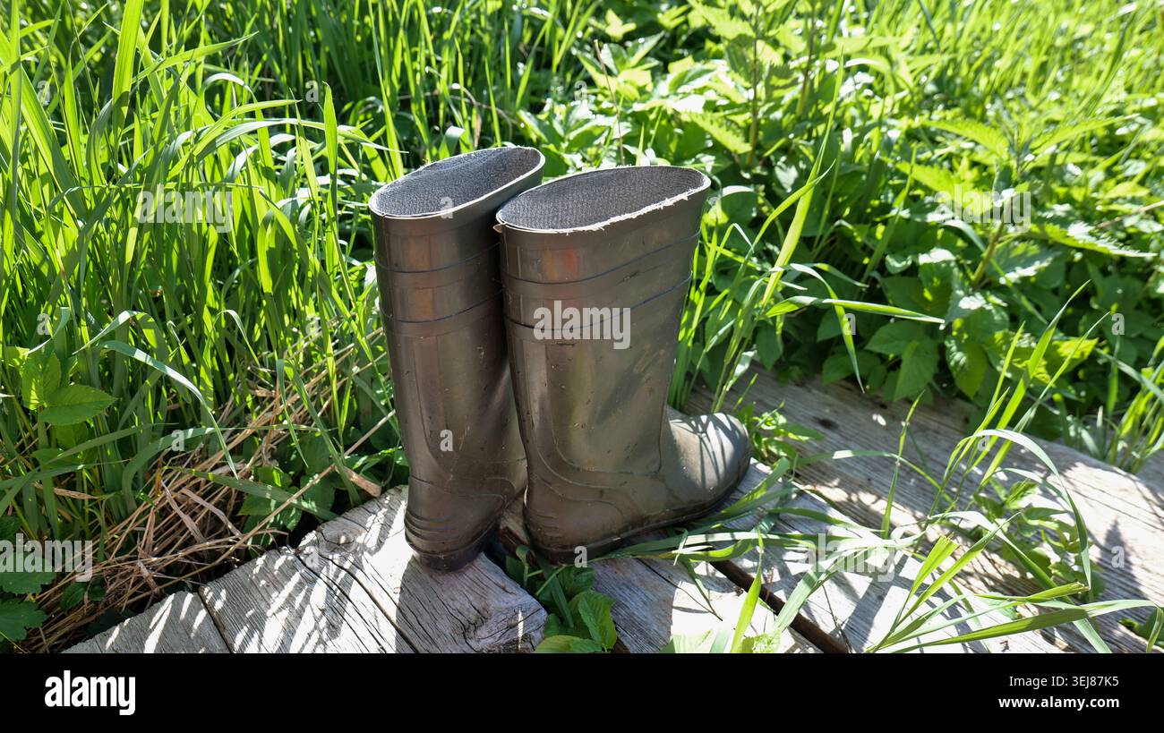 Paire de bottes en caoutchouc vert sur des planches en bois dans les hautes herbes Banque D'Images