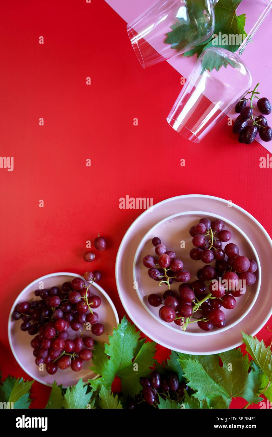 Raisins et verres à vin avec rouge et rose couleur moderne bloquant l'esthétique créative concept. Banque D'Images