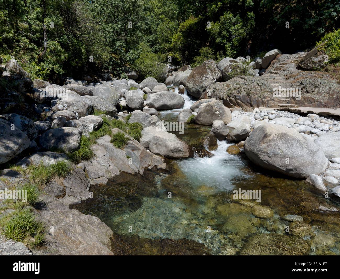 L'eau coule sur de gros rochers dans un ruisseau. Des arbres entourent la zone. La lumière du soleil brille sur l'eau claire. C'est une scène naturelle dans un cadre naturel Banque D'Images