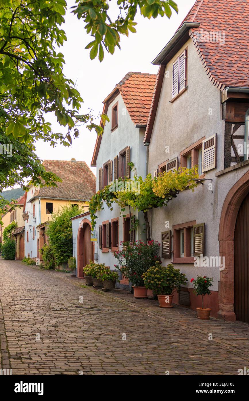 Rhodt unter Rietburg, Allemagne - 10.08.2023 : ruelle pittoresque présentant une architecture allemande traditionnelle, des plantes en pot et des vignes grimpantes Banque D'Images