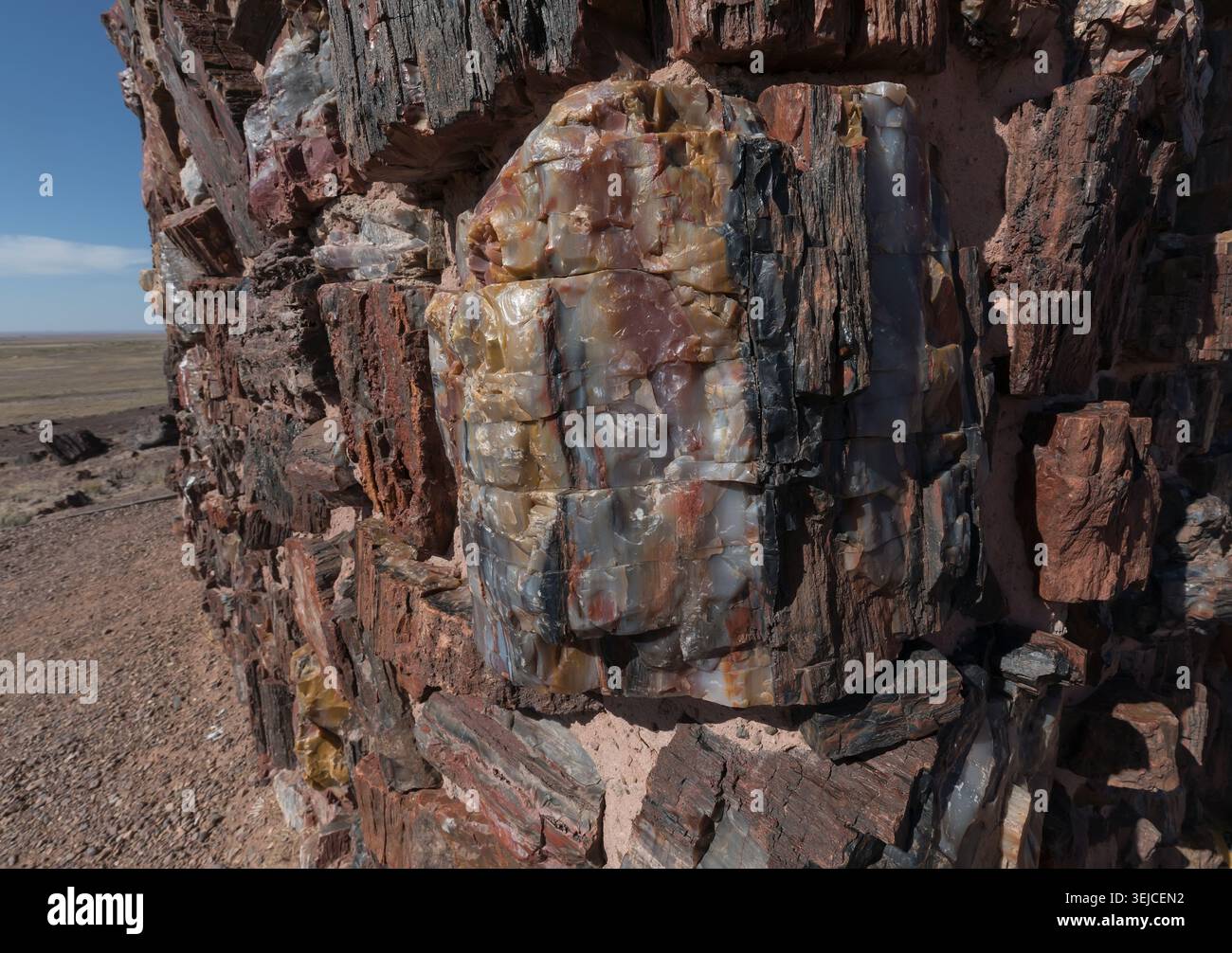 Mur empilé en bois pétrifié avec coupe transversale colorée, parc national de la forêt pétrifiée, Arizona, États-Unis Banque D'Images