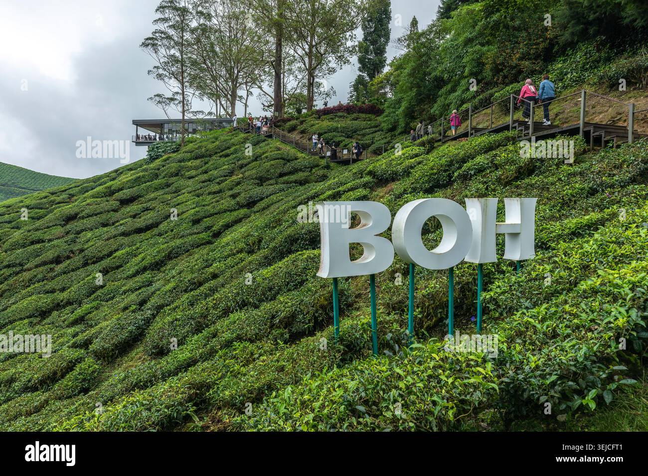 Panneau BOH blanc sur une colline de thé en terrasses avec des touristes sur une allée et un café au-dessus à la plantation de thé BOH, Cameron Highlands, Pahang, Malaisie Banque D'Images